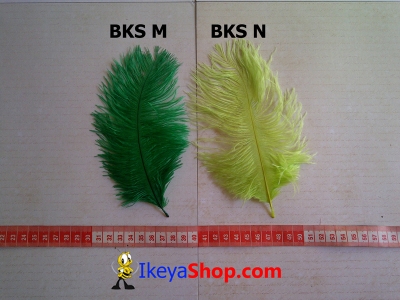 BKS M N  large2